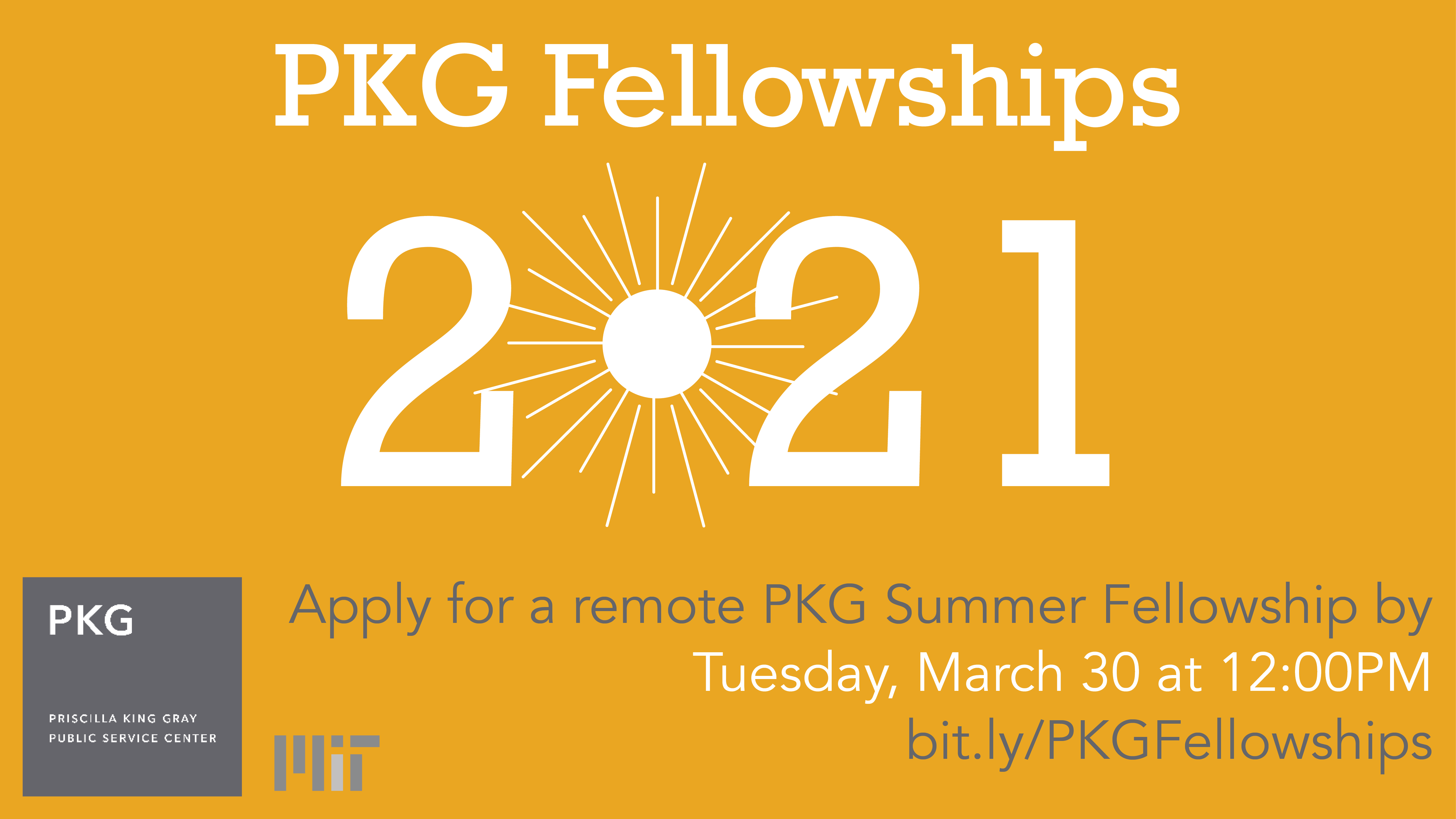Remote PKG Fellowships for summer MIT Climate Portal